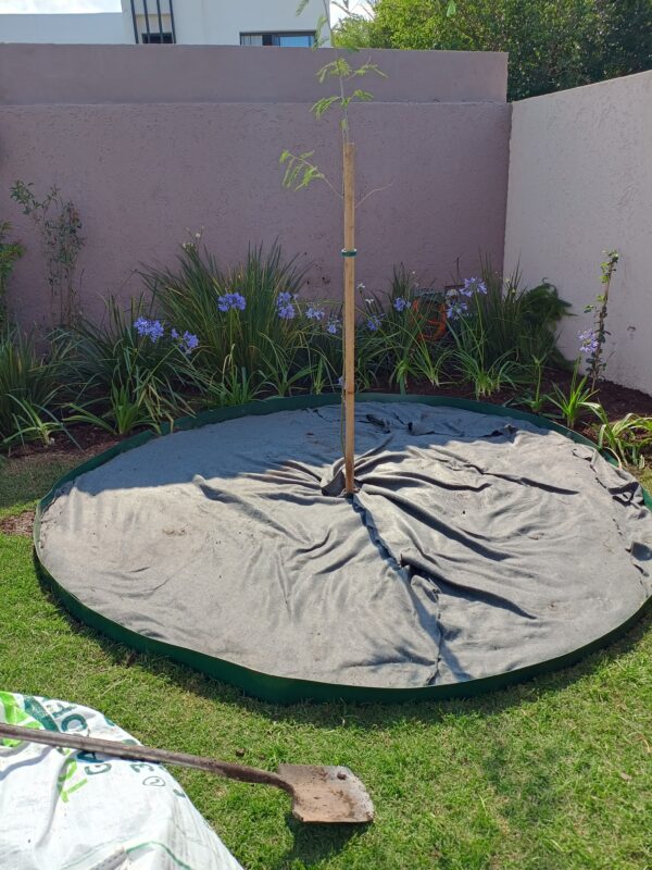 MANTA ANTIMALEZA NEGRO 1.50 M/100 G - Imagen 3
