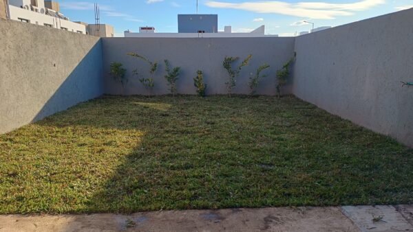 40 M2 DE CESPED EN CHAMPA TIFWAY 419 - Imagen 2